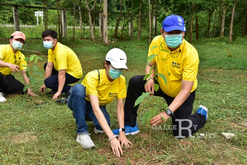 20210526-Tree planting dayt-152.JPG